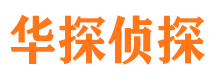 九龙侦探公司